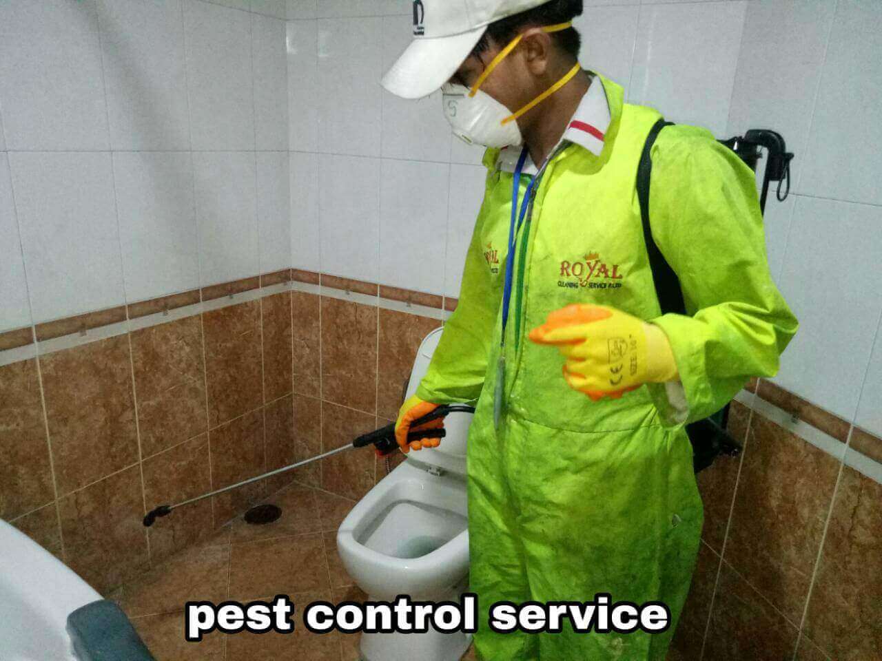 PEST CONTROL SERVICE